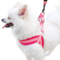 Harness And Leash Set Designer Nylon Mesh Harnesses